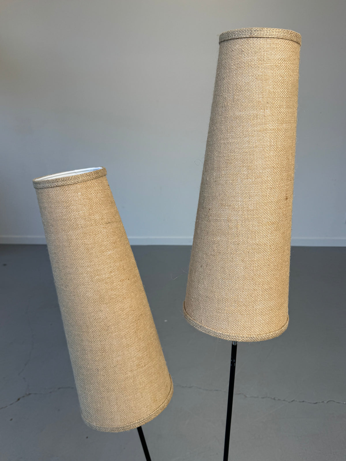 1950s–1960s German Twin-Cone Floor Lamp in Rosewood, steel, Chrome and Textured Fabric.