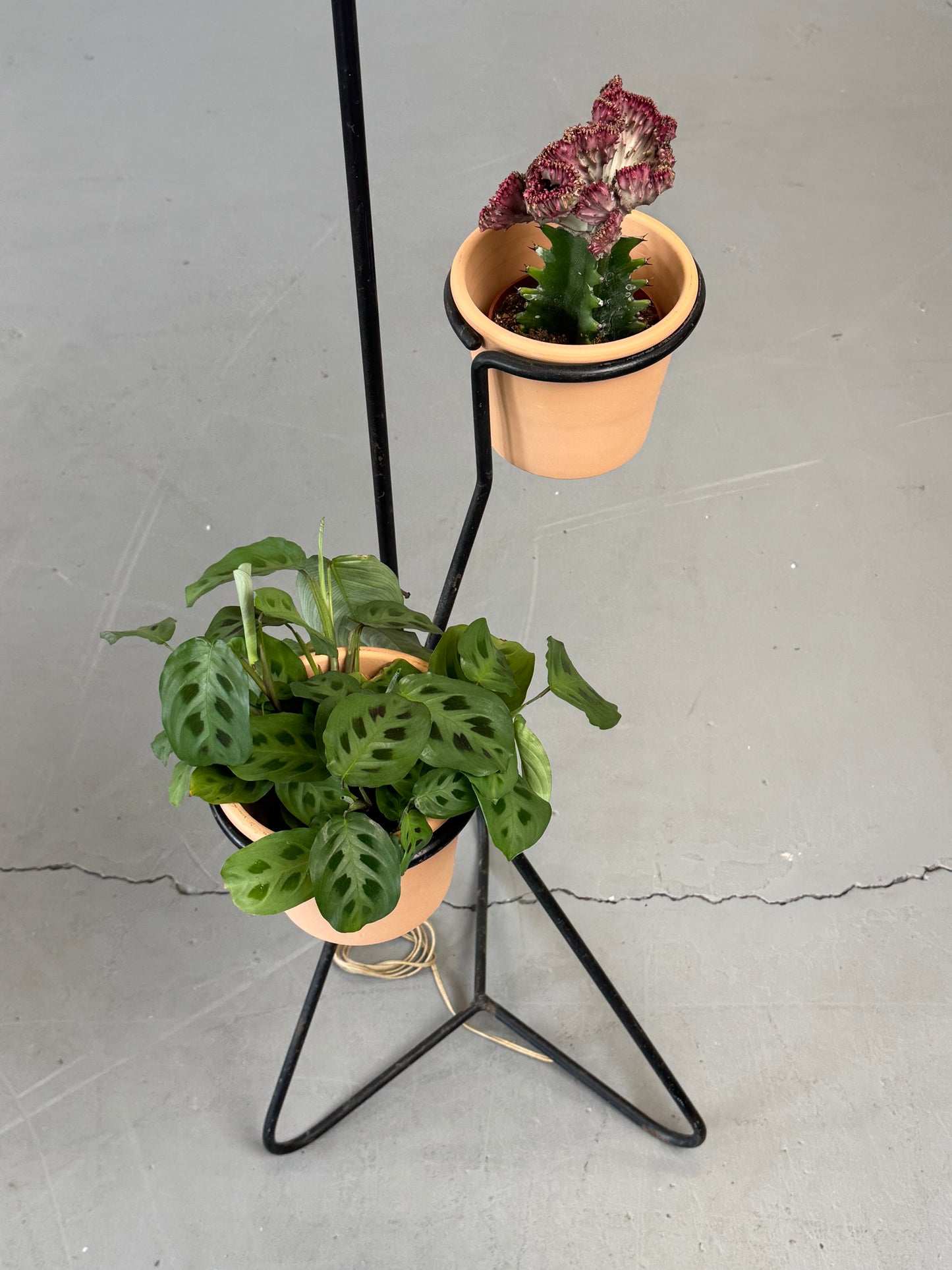 1950s Mathieu Matégot Floor Lamp and Planter, France.