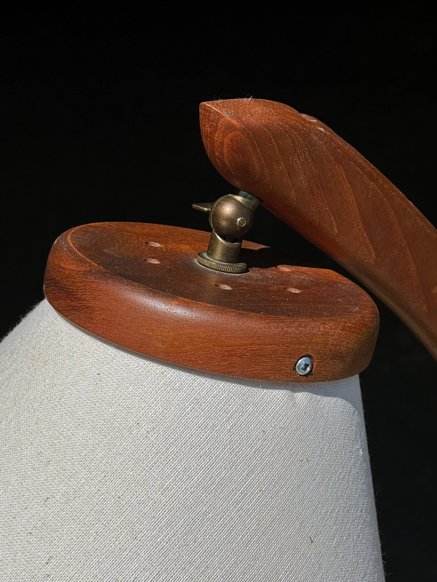 1960s Canadian Modern Bow Floor Lamp in teak
