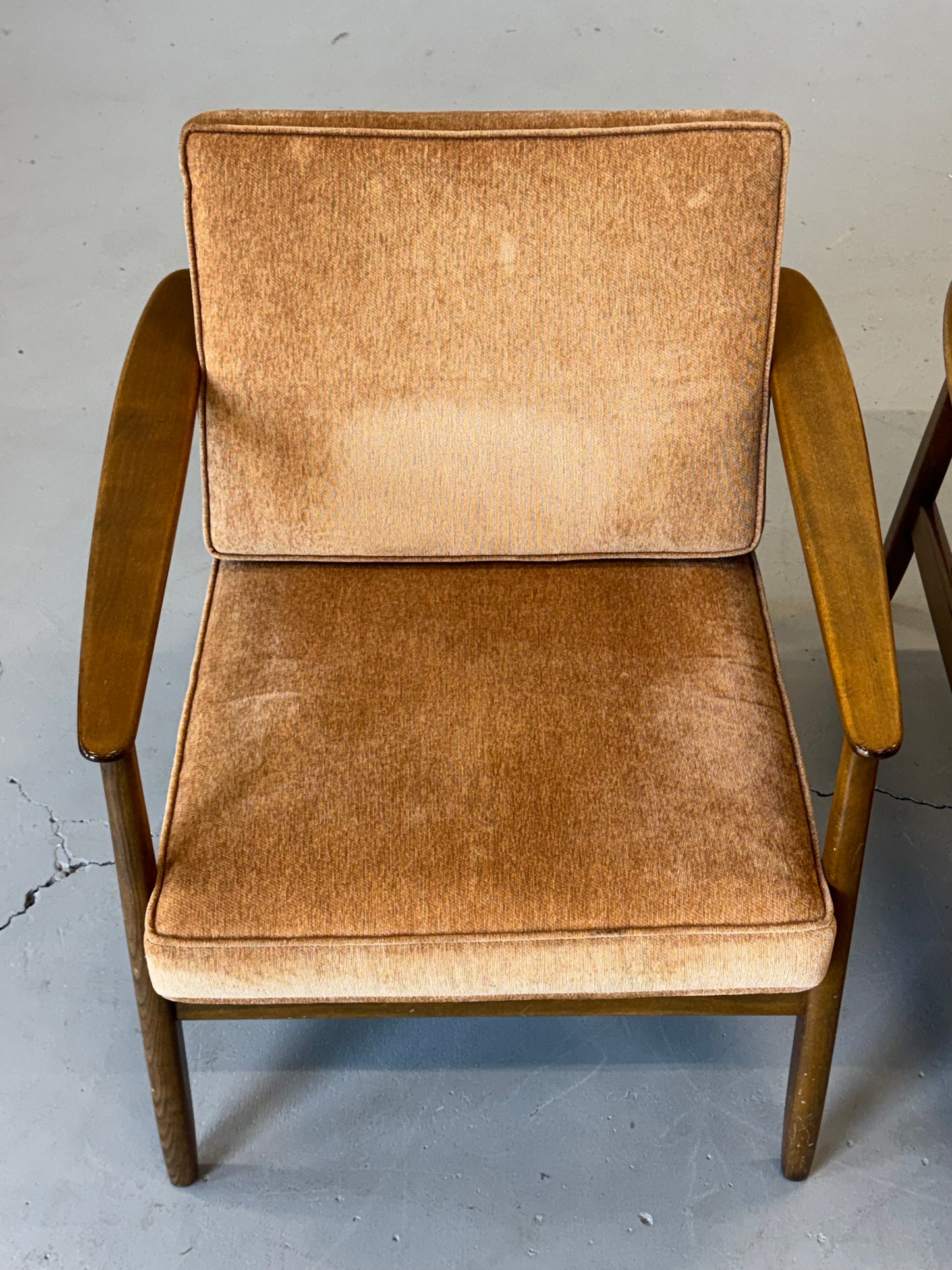 1960s Lounge Chair "USA 247" by Folke Ohlsson for DUX with Cane Back