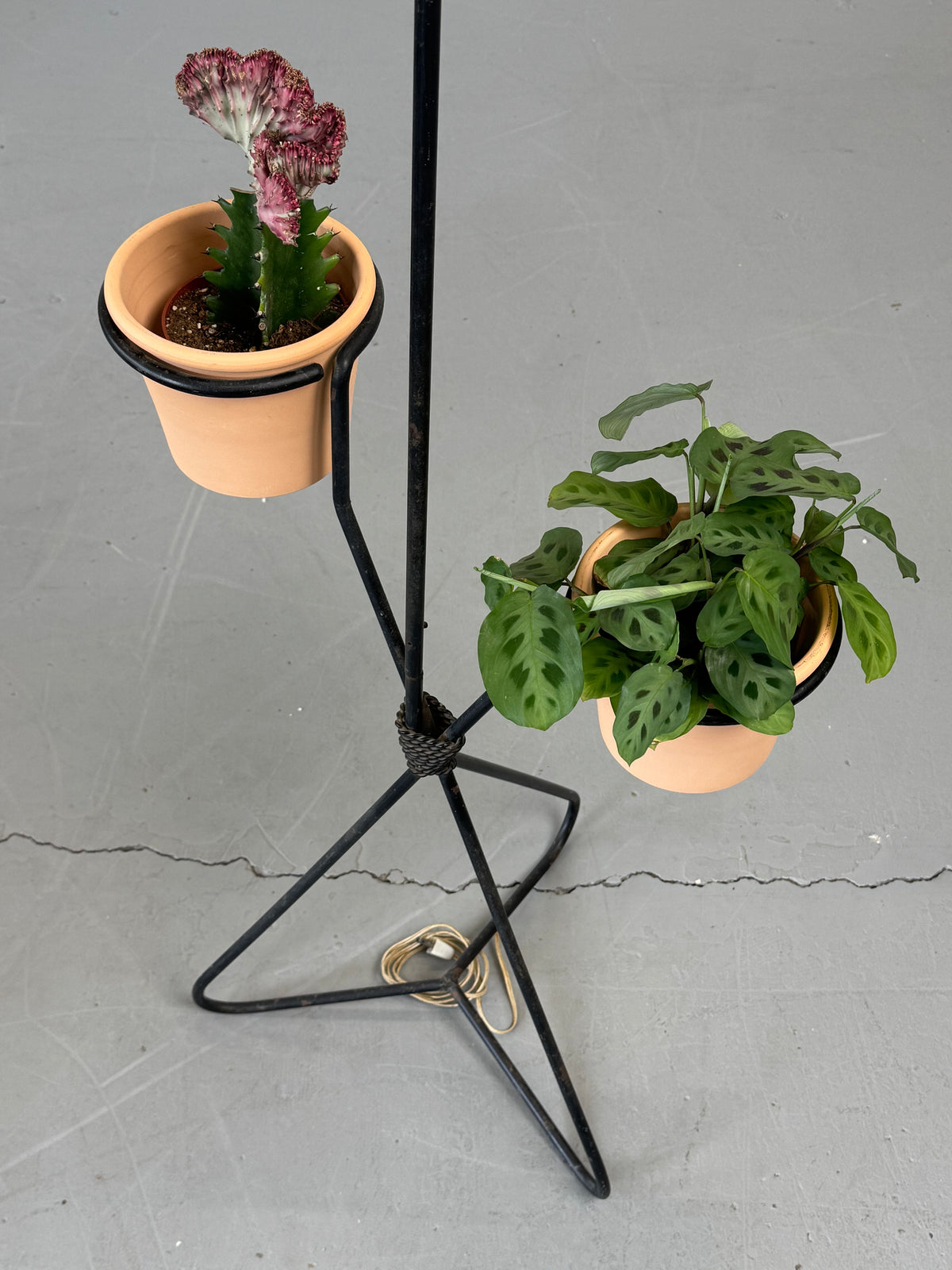 1950s Mathieu Matégot Floor Lamp and Planter, France.
