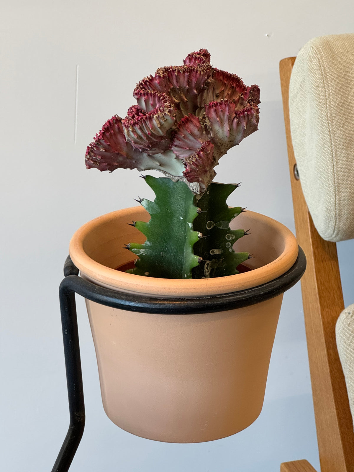 1950s Mathieu Matégot Floor Lamp and Planter, France.