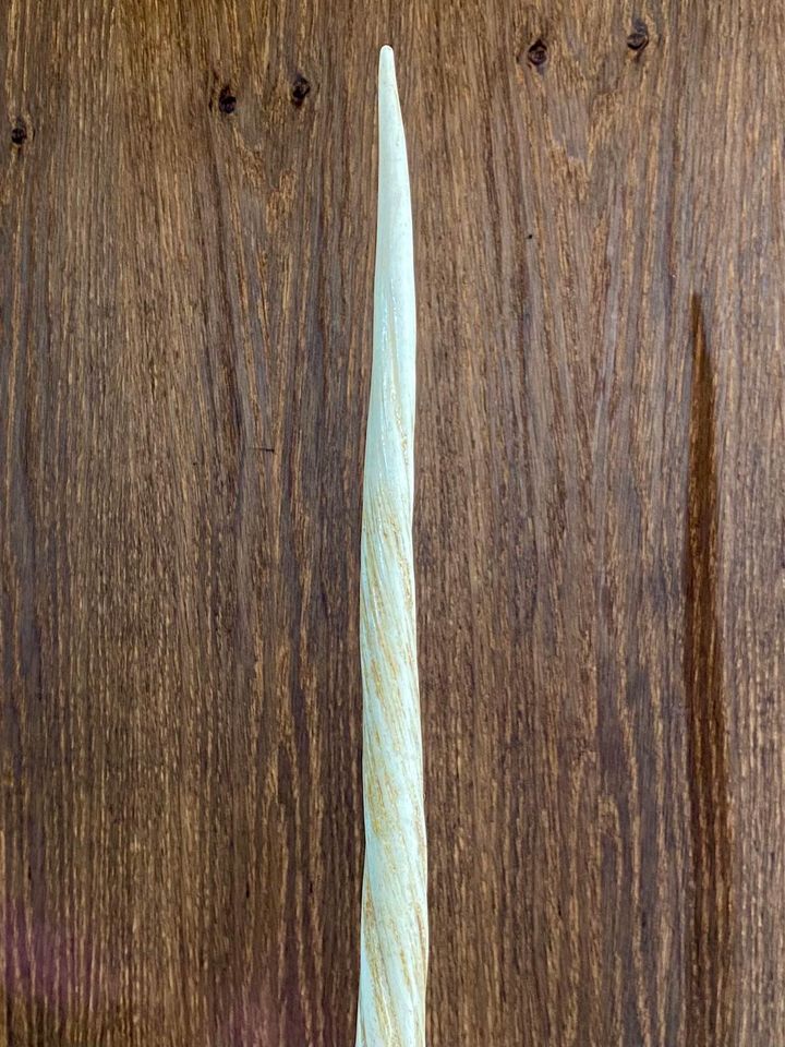 1950s Narwhal Tusk Lamp