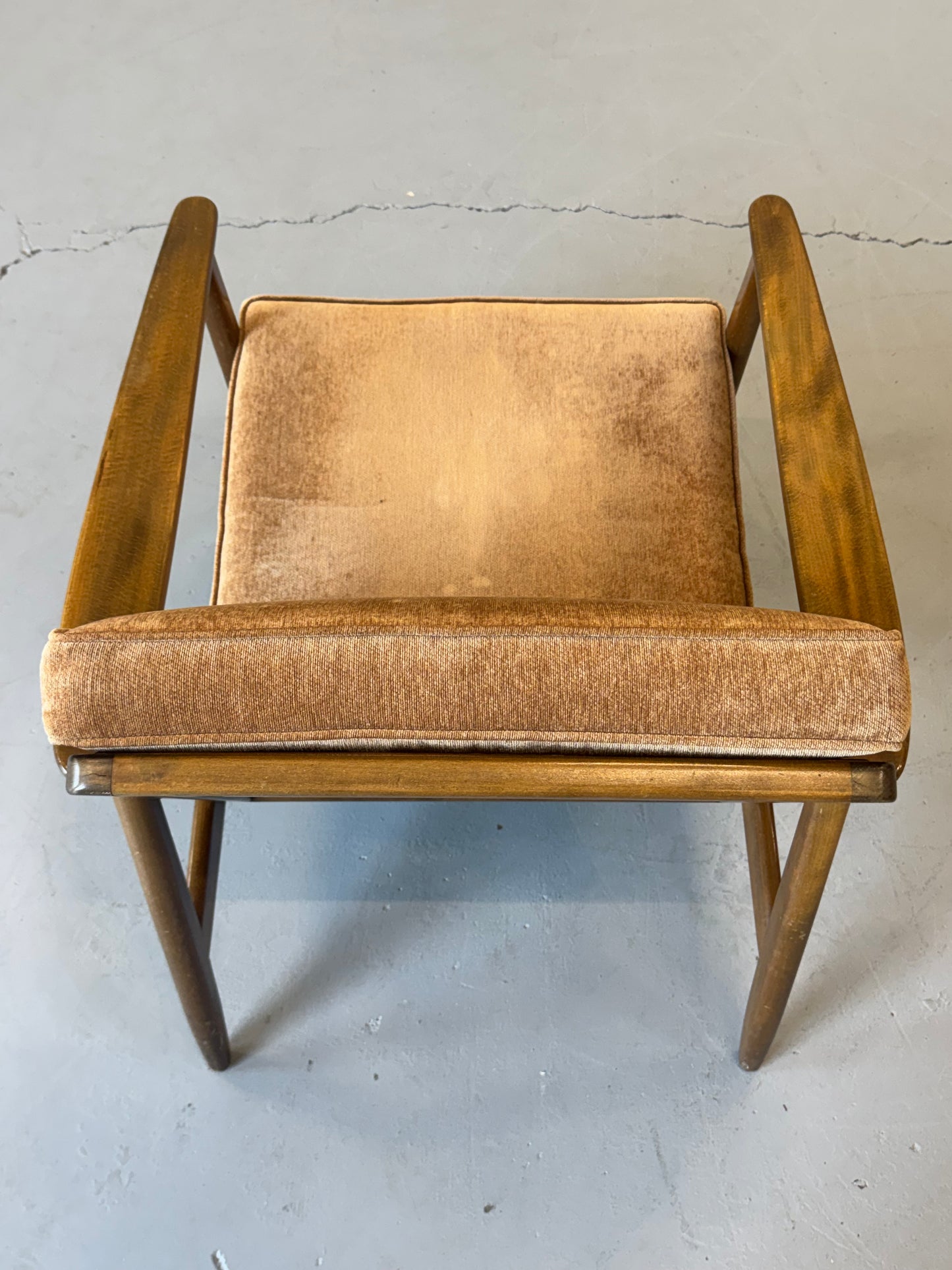 1960s Lounge Chair "USA 247" by Folke Ohlsson for DUX with Cane Back