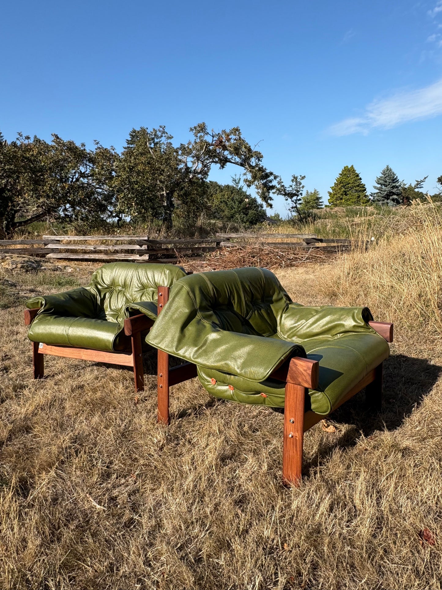 Pair of 1960s Brazilian Wood and Leather MP41 Chairs by Percival Lafer